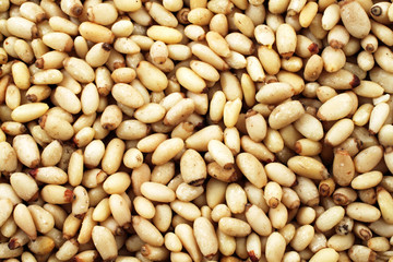 Pine Nuts Close Up