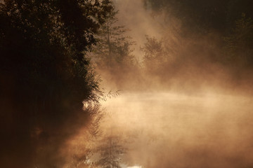 Fototapeta na wymiar Morgennebel am Ufer eines Sees