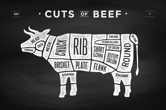 Cut of meat set. Poster Butcher diagram and scheme - Cow