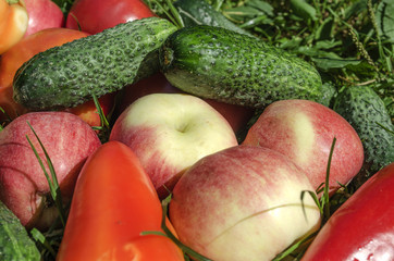 Still life with delicious and juicy fruits and vegetables in the grass
