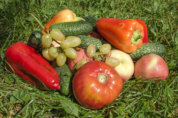 Still life with delicious and juicy fruits and vegetables in the grass
