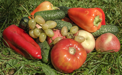 Still life with delicious and juicy fruits and vegetables in the grass
