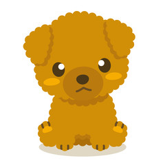 いぬっこ倶楽部 トイプードル