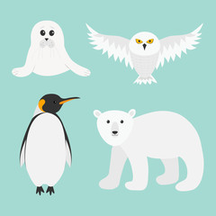 Arctic polar animal set. White bear, owl, king penguin Emperor Aptenodytes Patagonicus, Seal pup baby harp. Kids education cards. Winter antarctica blue background Isolated Flat design.