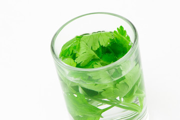 Vodka with fresh herbs