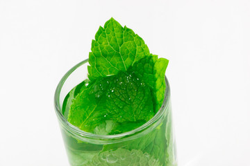 Gin Tonic with mint
