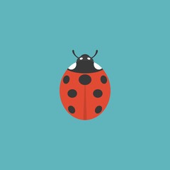 Fototapeta premium lady bug icon illustration, flat design