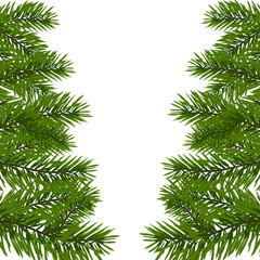 Fototapeta na wymiar Green lush branch of spruce with the two sides. Fir branches. Isolated on white illustration