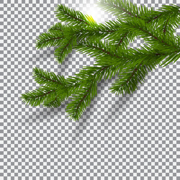 Two green, realistic shadows with spruce branches. Christmas Spruce branches. On a plaid background. The sun. Christmas illustration