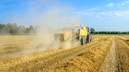 Obraz premium Pak wheat straw leaves the bale press