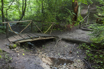 Old wooden bridge over the creek in the forest. Wooden stairs rising up the hill. Green trees.