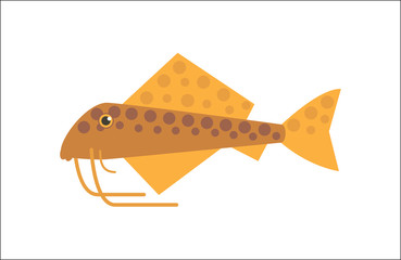 Catfish flat illustration