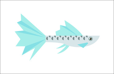 Guppy flat illustration