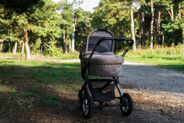 Baby stroller in forest