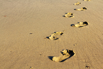 Footprints in the sand on Polzeath beach