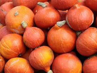 orange,tasty pumpkins