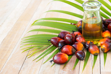 Commercial palm oil cultivation. Since palm oil contains more sa
