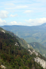 Fototapeta na wymiar Tara mountain landscape Serbia Europe