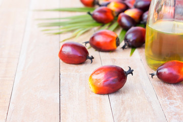Commercial palm oil cultivation. Since palm oil contains more 