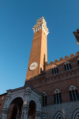 Fototapeta premium Torre e campanile del Mangia