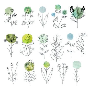 Vector floral decorative set. Colorful watercolor splashes under flowers. Cute flowers and leaves branches for design. Floral vector set. Herbs and flowers. 