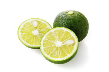 すだち　Citrus sudachi