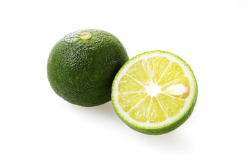 すだち　Citrus sudachi