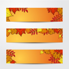 Set of banner templates with fall leaves, sketch style vector illustration isolated on orange background. Red, yellow and orange maple, aspen, oak and rowan leaves on horizontal banners