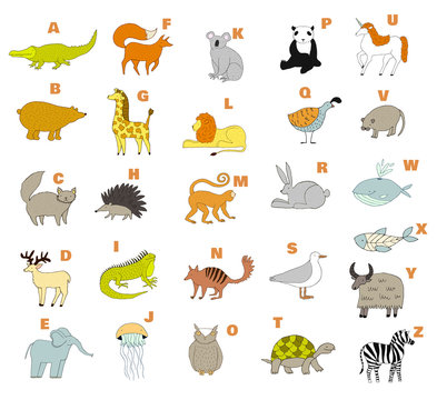 Cute zoo alphabet with cartoon animals. Vector. Childish alphabet. Handdrawn illustration. Isolated on white background. Whale, lion, fox, zebra, elephant, iguana, quail, turtle, yak, rat.