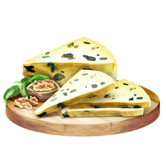 Soft cheese with nuts and basil. Watercolor