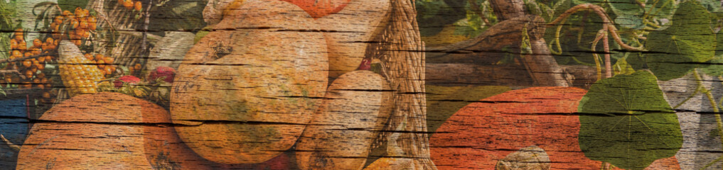 Banner für den Herbst Kürbisse1