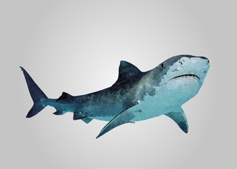 Fototapeta premium Shark swimming and looking low poly vector