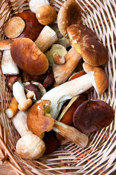 Fresh mushrooms in basket on wooden table