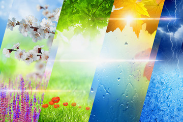 Four seasons of year collage, seasonal background