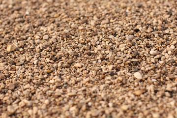 Pebbles beach background. Close up. Sand beach.