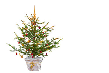 Christbaum (gold/rot)