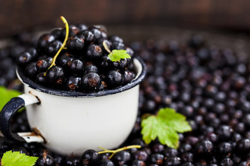 Fresh delicious organic black currant