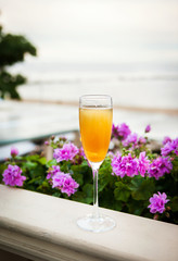 Glass of italian Bellini alcoholic cocktail