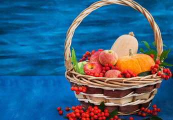 Fototapeta na wymiar Autumnal still life with pumpkins, apples and rowanberry