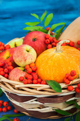 Autumnal still life with pumpkins, apples and rowanberry
