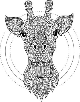 Hand drawn doodle giraffe head illustration for coloring book