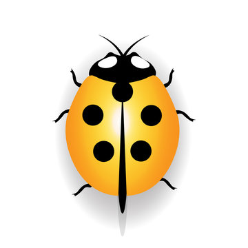 Ladybug icon, yellow ladybug with five black dots. illustration