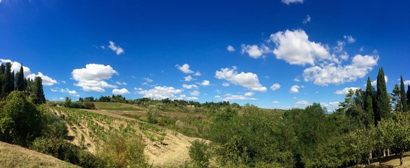 Panorama Toskana auf die Reben