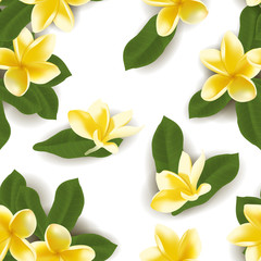 Vector illustration of seamless pattern with frangipani