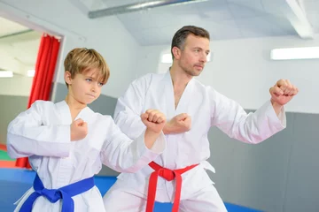 Gordijnen Learning a martial art © auremar