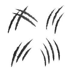 Claws Scratching Wild Animal Set. Vector