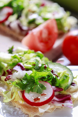 Sandwiches with salad