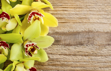 Beautiful yellow orchid flowers on wood
