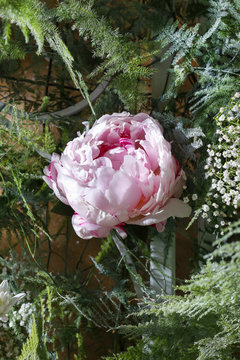 Floral arrangement with pink peonies, green asparagus and white