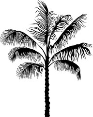 Obraz premium Palm series